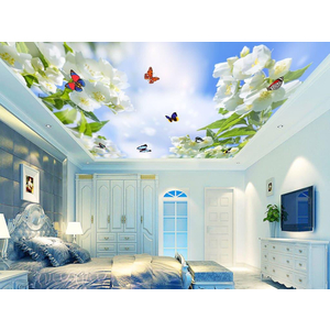 Tranh dán trần 3D DT64