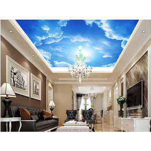 Tranh dán trần 3D DT65