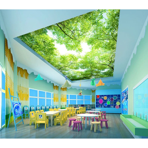 Tranh dán trần 3D DT66