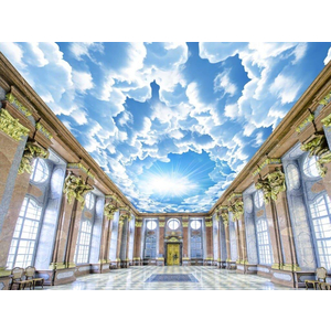 Tranh dán trần 3D DT67