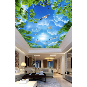 Tranh dán trần 3D DT69