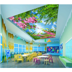 Tranh dán trần 3D DT70