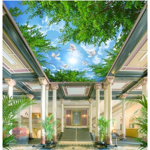 Tranh dán trần 3D DT71