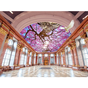 Tranh dán trần 3D DT72