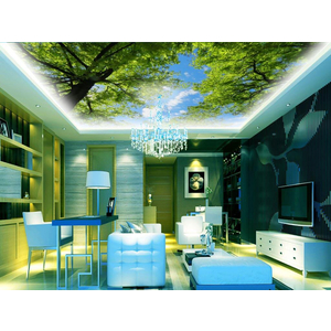 Tranh dán trần 3D DT73