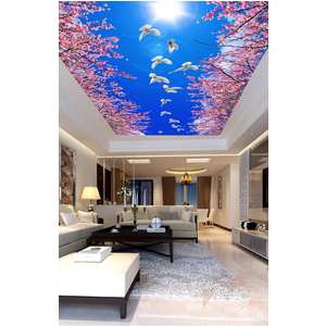 Tranh dán trần 3D DT78