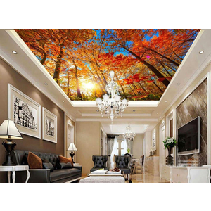 Tranh dán trần 3D DT79