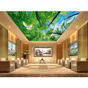 Tranh dán trần 3D DT86