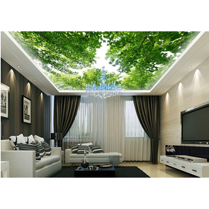 Tranh dán trần 3D DT91