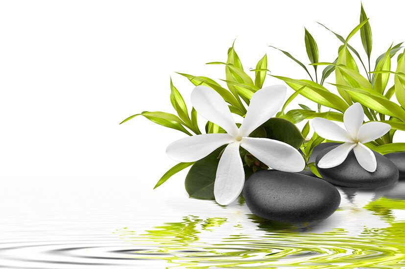 Tranh dán tường về Hoa