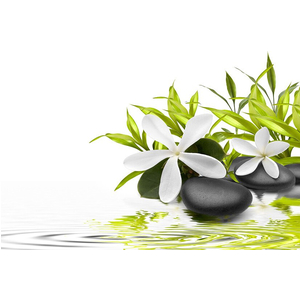 Tranh dán tường về Hoa
