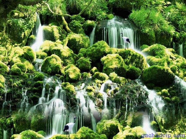 tranh-gach-3d-tuoi-suu