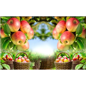 Tranh 3d ốp bếp TOB85