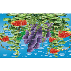 Tranh 3d ốp bếp TOB93