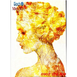 Tranh ốp tường 3d nghệ thuật TNT56