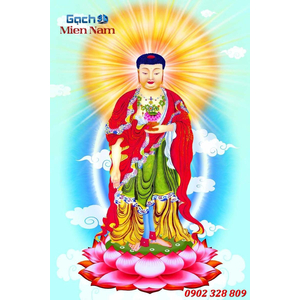 Tranh phat a di da HP425
