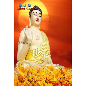 Tranh phat a di da HP482