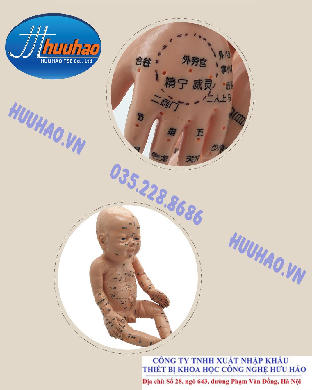 Mô hình thực hành châm cứu trên trẻ nhỏ - Công ty Hữu Hảo