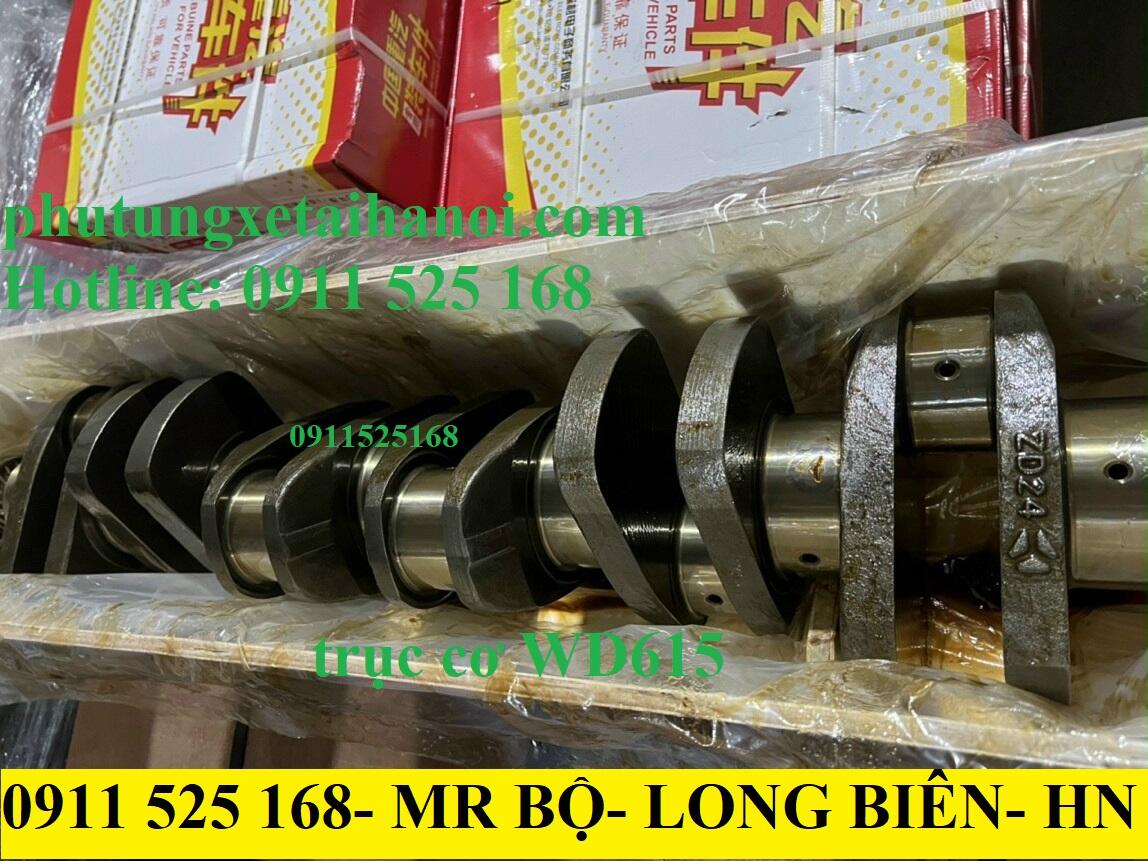 trục cơ howo WD615