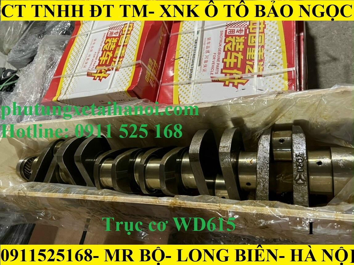 trục cơ howo WD615.47
