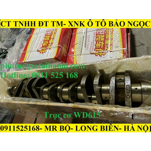 trục cơ howo WD615.47