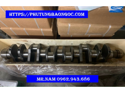 TRỤC CƠ ( TRỤC KHUỶU ) HOWO WD615