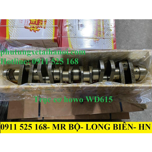 TRỤC CƠ HOWO WD615