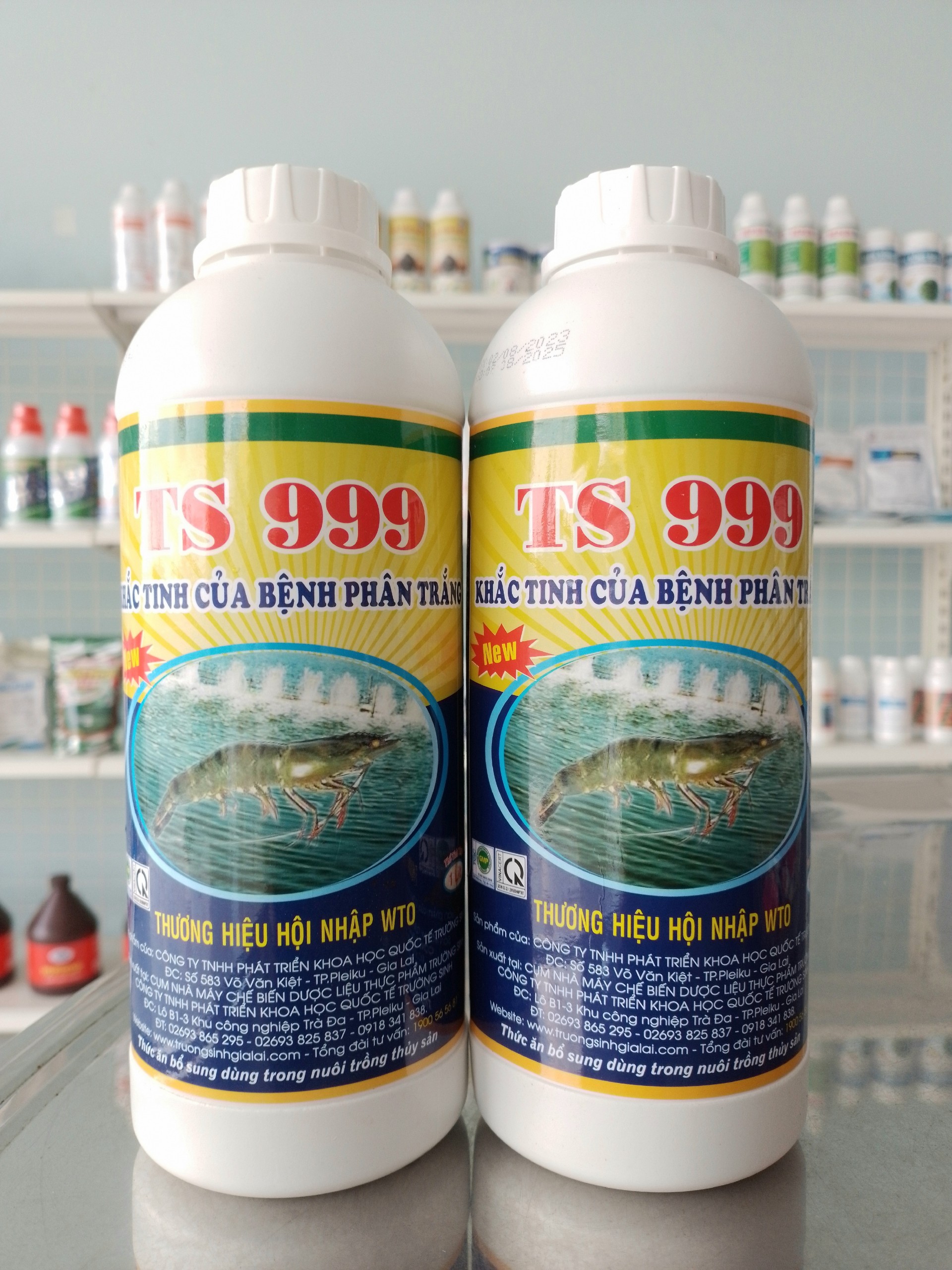 TS 999 - ĐIỀU TRỊ BỆNH PHÂN TRẮNG