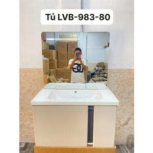 Tủ Lavabo Nhựa PVC 983,80