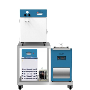 Tủ sấy chân không có bẫy hơi lạnh 350 độ C, 64L