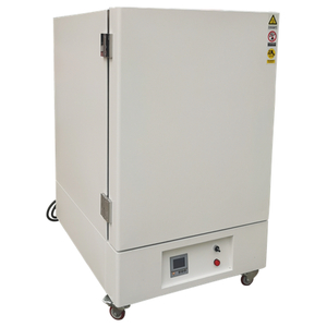 Tủ Sấy Nhiệt Độ Cao 650℃, 100 Lít, GWX-100C, Hãng Taisitelab/Mỹ