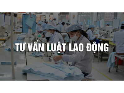 Tư vấn luật lao động