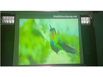 Máy Chiếu Cũ SONY VPL-EX246