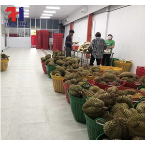 Tư Vấn, Thiết Kế, Thi Công Lắp Đặt Kho Lạnh Sầu Riêng Tại Xã Hòa Đông
