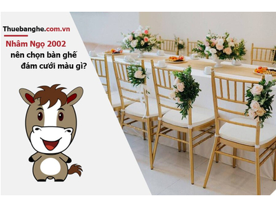 Tuổi Nhâm Ngọ 2002 nên thuê bàn ghế đám cưới màu gì: Nam mạng + Nữ mạng