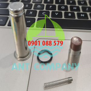 Ty của van giũ bụi CQDP1350 - Pilot Plunger Repair Kit