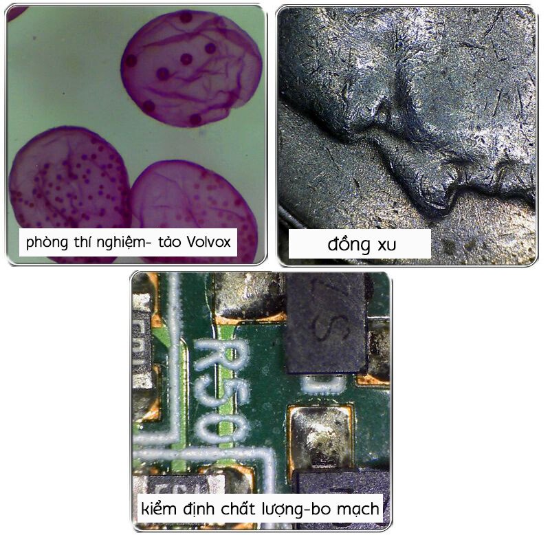 Kính hiển vi kỹ thuật số Vitiny UM12