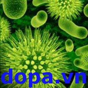 Ứng Dụng Công Nghệ Vi Sinh Lợi ích Lớn Trong Nuôi Trồng Thủy Sản