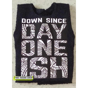 ÁO MÔ HÌNH CUSTOM WWE THE USOS - DOWN SINCE DAY ONE ISH (CHẤT LƯỢNG CAO)
