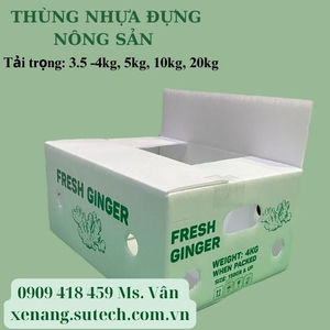 Ưu và nhược điểm của thùng nhựa đựng gừng xuất khẩu