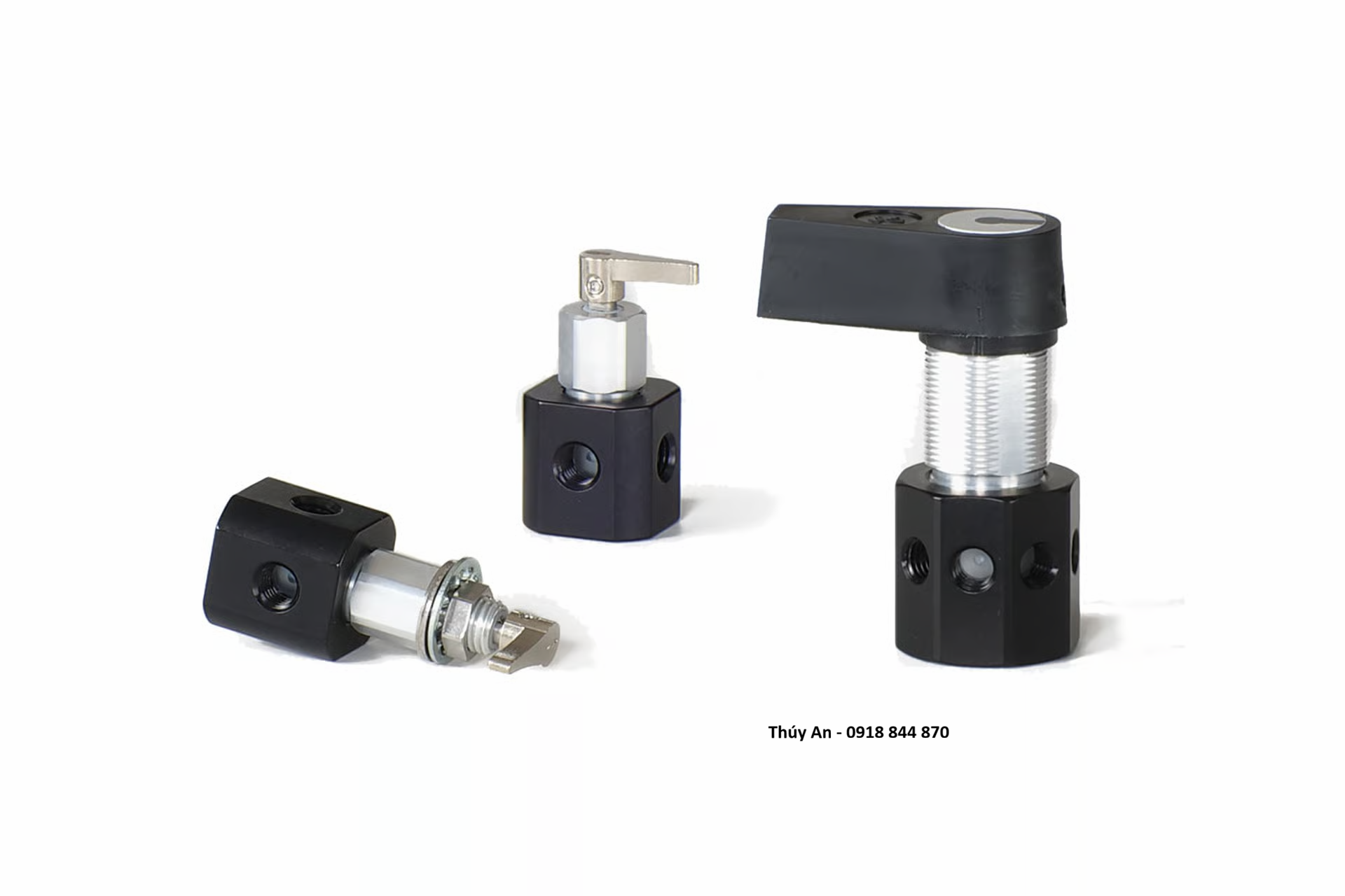 Valve Tùy Chỉnh Lưu Lượng Chất Lỏng Hamilton