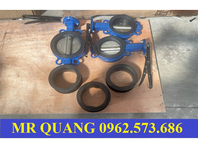 Van cánh bướm DN100, DN125