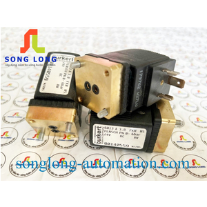 VAN ĐIỆN TỪ BURKERT 6013 A 00140559