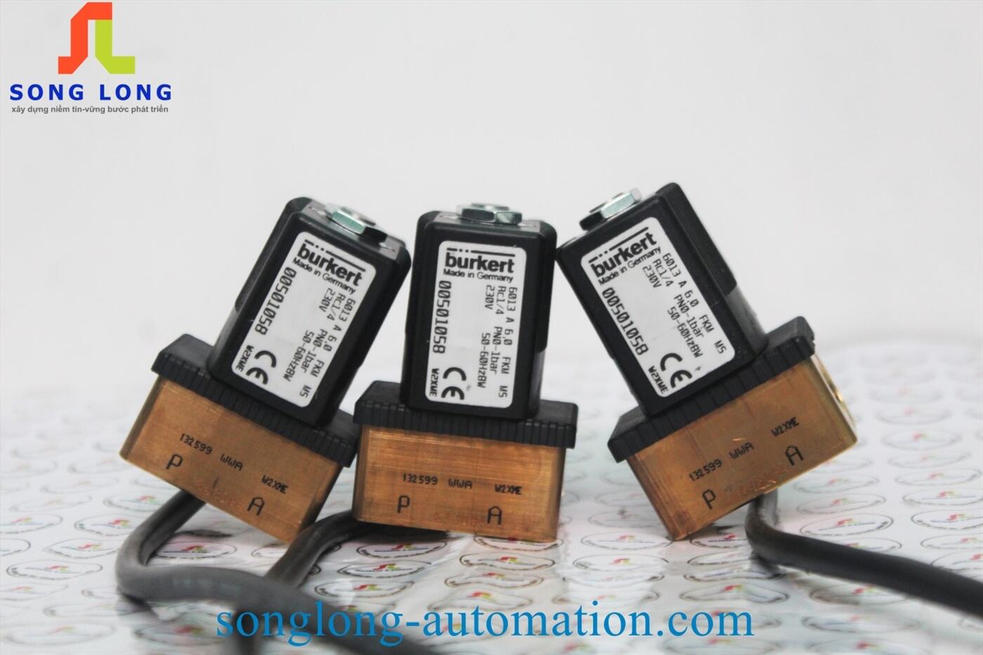 VAN ĐIỆN TỪ BURKERT 6013A