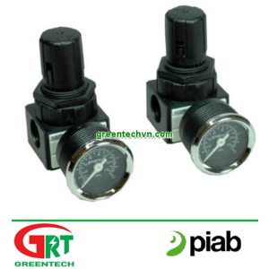 Compressed air pressure regulator / single-stage / piston | Piab Vietnam
