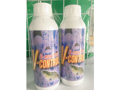 V-CONTROL