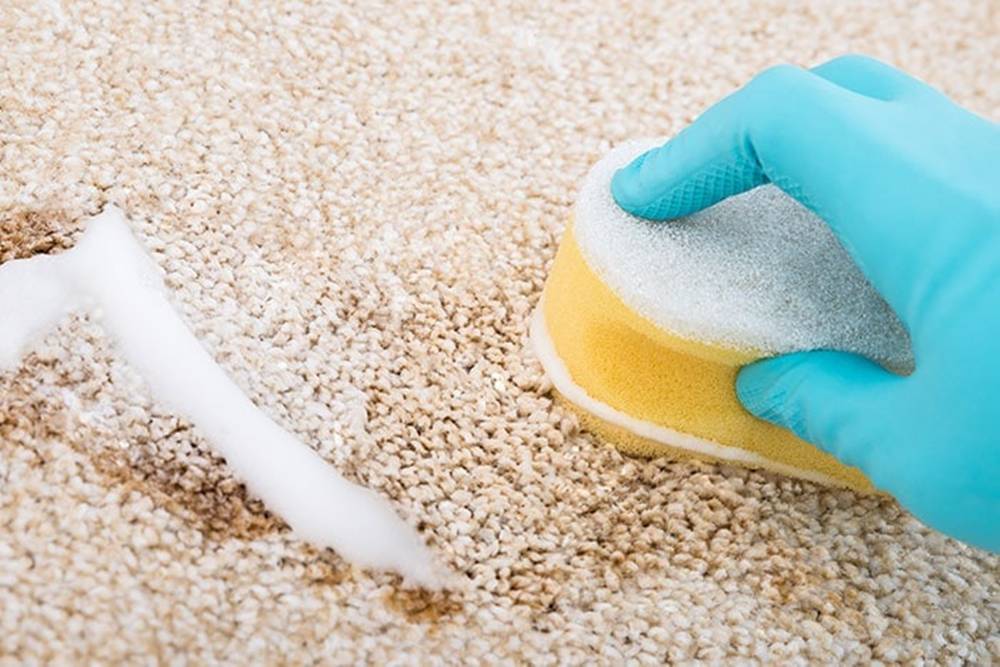Dùng bàn trải vệ sinh thảm trải sàn