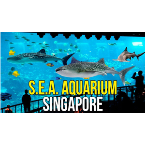 Vé Thủy Cung Singapore Sea Aquarium - Vé tham quan