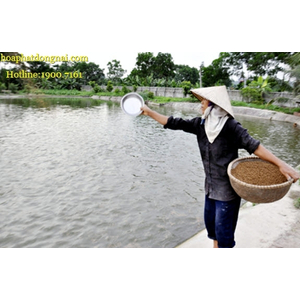 Vi sinh bổ sung Enzyme tự nhiên cho tôm HPDON-BIO-III