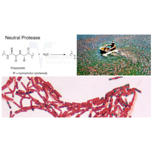 Vi sinh tiêu hóa bố sung dinh dưỡng khẩn cấp HPDON-GP (Dạng lỏng)